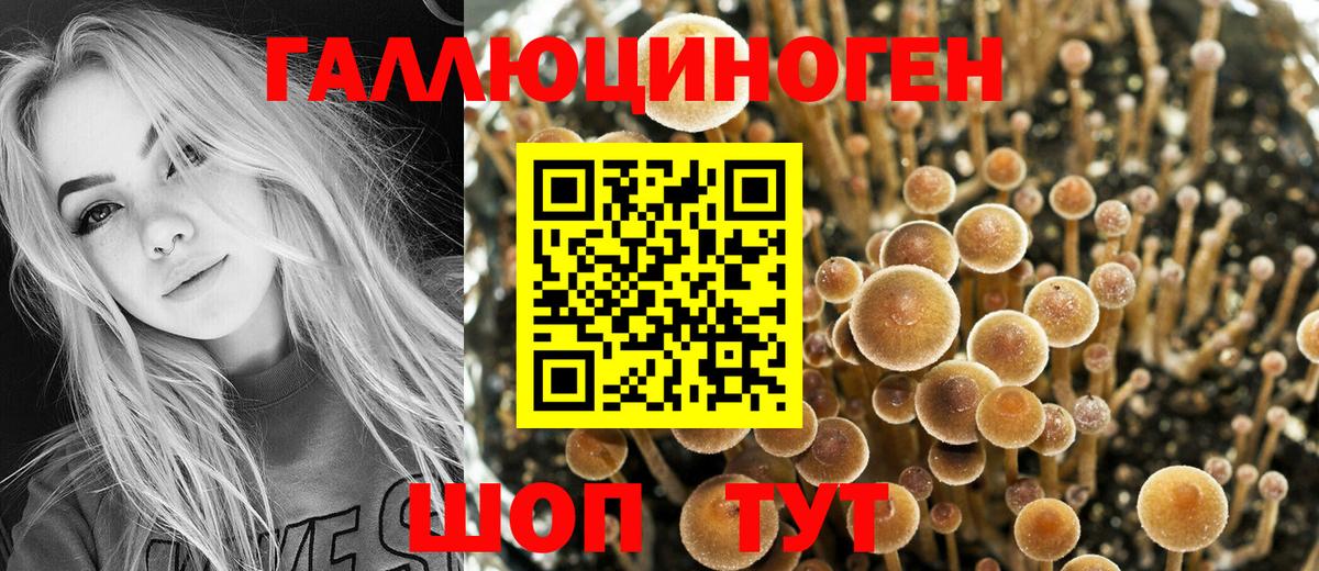 Галлюциногенные грибы прущие грибы Елабуга