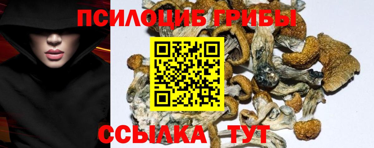 Елабуга  Псилоцибиновые грибы ЛСД  Вход с VPN  Псилоцибиновые грибы MAGIC MUSHROOMS 